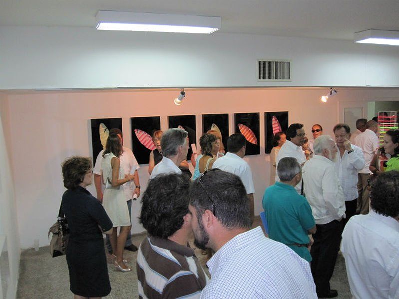 De Rerum Natura — 2009 · Museo de Arte Contemporáneo Francisco Narváez, Isla de Margarita